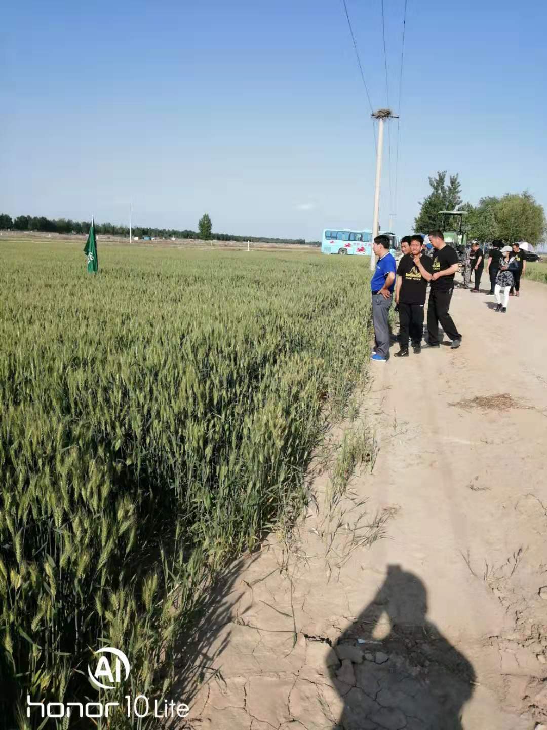 WechatIMG16.jpeg