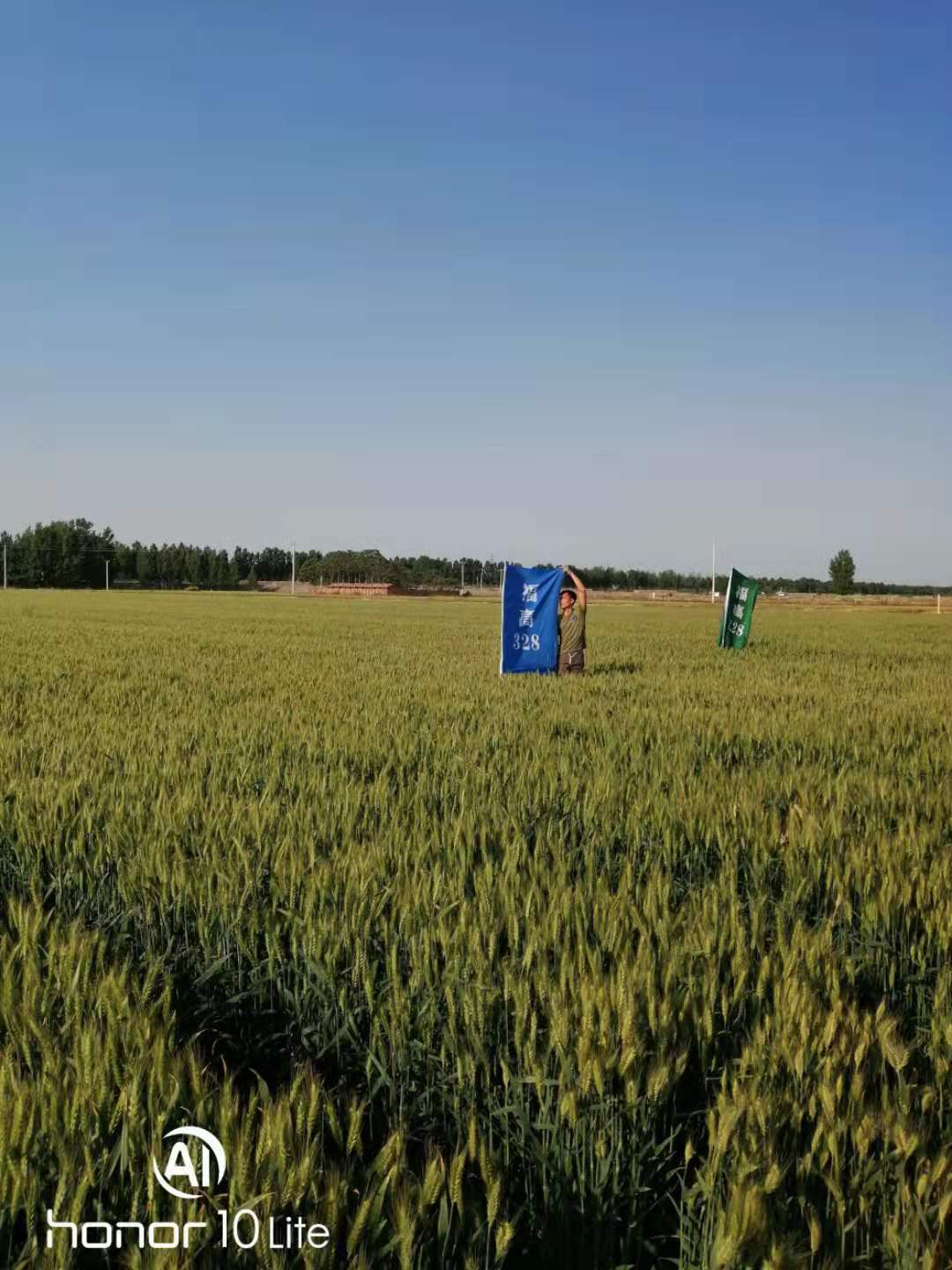 WechatIMG19.jpeg